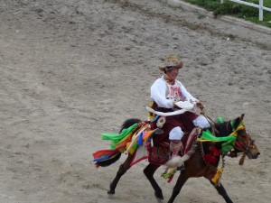 Shangri la, course hippique annuelle