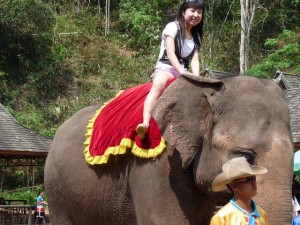 Elephant valley, puis Bupan Aerial Skyway Park