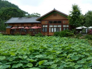 Chapelle Paper Dome, puis Meifeng Farm 梅峰農場 région de Wushe