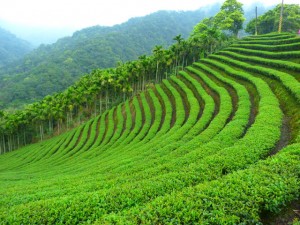 Réservoir Shiding, à 1 heure de Taipei