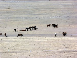 23 heures de train de Turpan à Kashgar