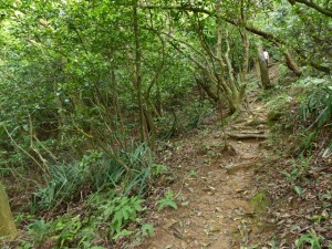 Taipei. Petite randonnée à Xinbeitou sur deux après – midi