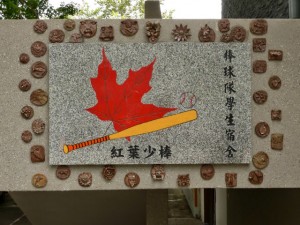 Comté de Taitung. Horng Yeh youth baseball mémorial hall