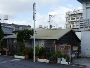 Naha, capitale d’Okinawa et Parc attraction